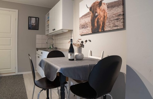 Tromso Apartment | Tromsø - near city center and close to everything! Relax and stay comfortable!