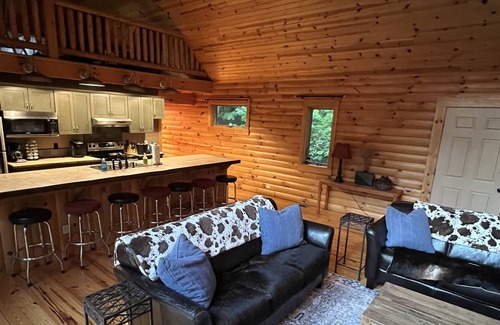 Perrysville Cabin | Trove of Trees Cabin - 24+ acres of woods near Mohican / Pleasant Lake