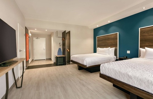 Charlotte Hotel | Tru by Hilton Charlotte Ayrsley