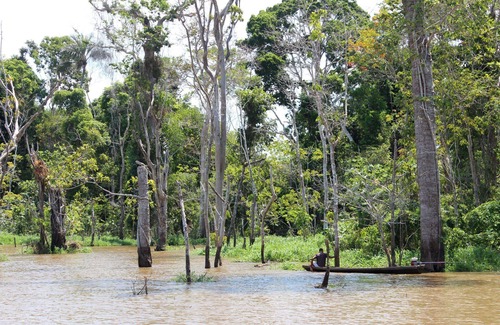 Tarapoa Cabin | Tucan Eco-lodge