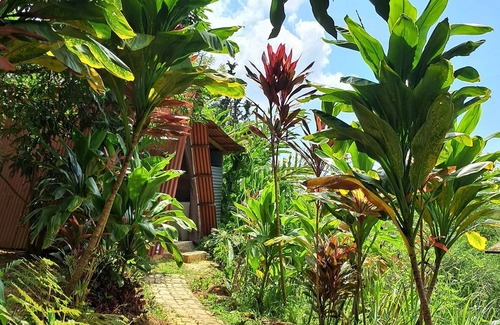 Minca Apartment | Tukamping #cabaña tucán