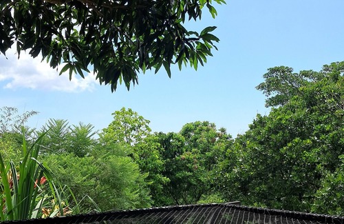 Minca Apartment | Tukamping #cabaña tucán