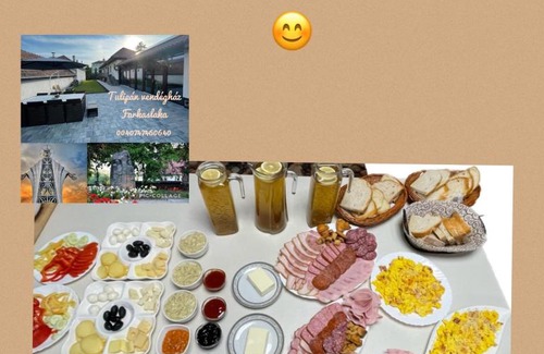 Lupeni House | Tulipán vendégház