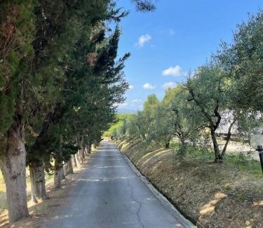 Palaia Apartment | Tuscany Time