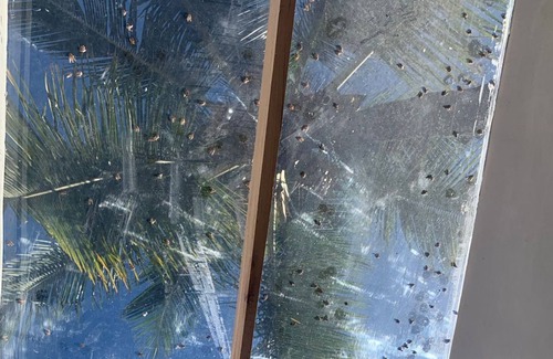 Arraial d'Ajuda Ski Chalet | Tuza Chalet