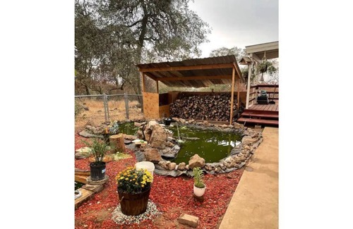 Squaw Valley Cabin | Twisted oaks Forest Cabin