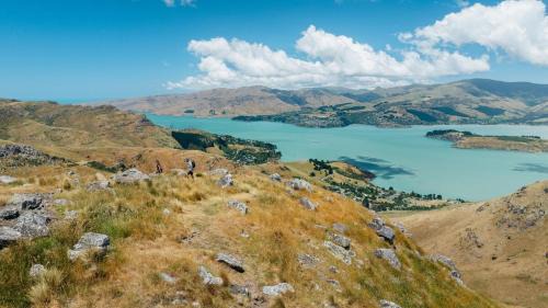 Christchurch City Centre Apartment | Two Units - 4 Bedrooms - 4 Bathrooms