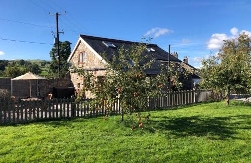 Llanarmon-yn-Ial House | Ty Gylfinir