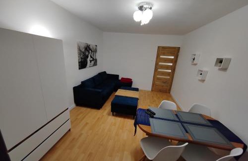 Ketrzyn Apartment | U Anny