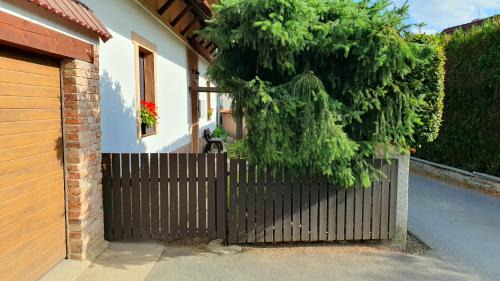 Stahlavy Apartment | U Jelínků