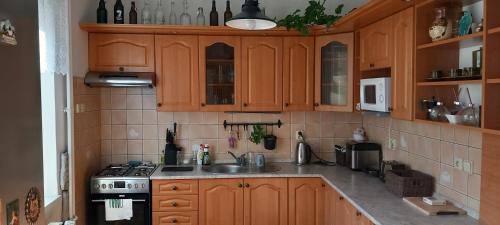 Pribram Apartment | u Míši v Brdech