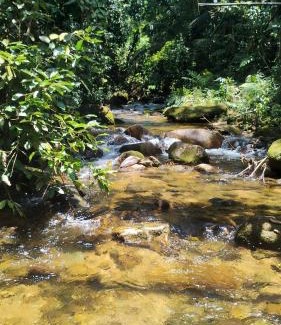 Taquaral Other | Ubatubambu