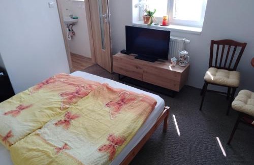 Libice nad Cidlinou House | Ubytování v soukromí Libice nad Cidlinou