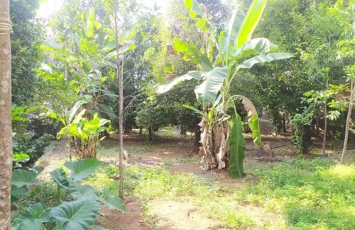 Bhubaneshwar House | Udarsh Lodge Odisha
