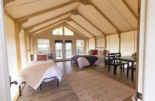 Williamstown Apartment | Ultimate Family Glamping Tent (w/twisty slide)