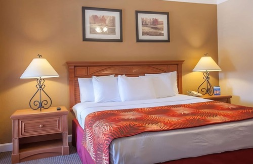 Palm Coast Hotel | Ultimate Vacation! Great Accommodation with Kitchen, Pool, Parking!