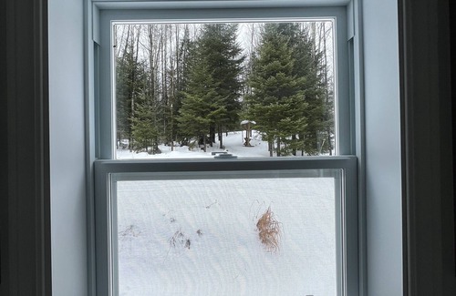 Saint-Emile-de-Suffolk Ski Chalet | Ultra-Quiet and Cozy Chalet Nestled in Beautiful Trees and Peaceful Nature!