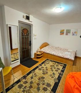 Iasi Apartment | Ultracentral Lozonschi Apartament Parter