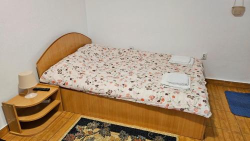 Iasi Apartment | Ultracentral Lozonschi Apartament Parter