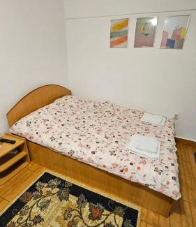Iasi Apartment | Ultracentral Lozonschi Apartament Parter