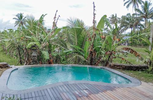 Tegallalang House | Umah Adenium Ubud 3