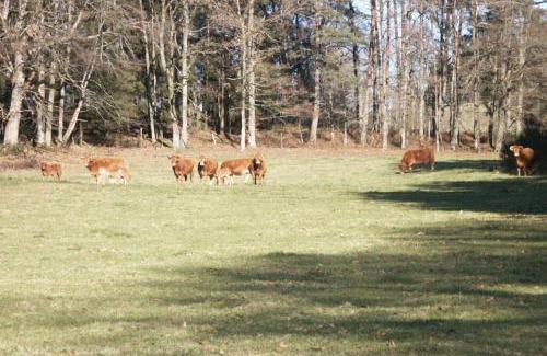 Meyrignac-l'Eglise House | Un cocon dans la nature