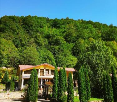 Lunca Jaristei Cabin | Un colț de Rai