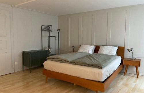 Stein am Rhein House | Understadt 14 guesthouse