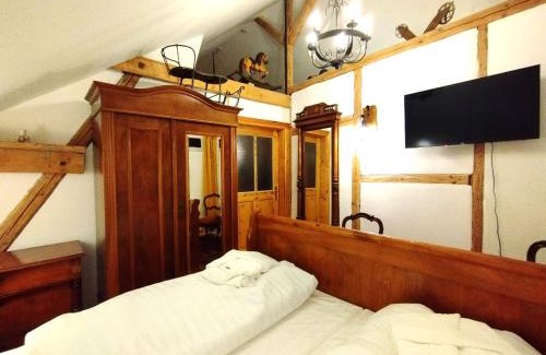 Sankt Andreasberg Bed & Breakfast | Unik Villa Brunnen Blick mit offenem Dachstuhl