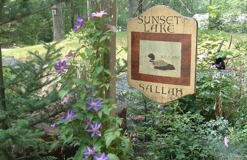 Alton Bay Cottage | Unique, Charming Guesthouse cottage at Sunset Lake