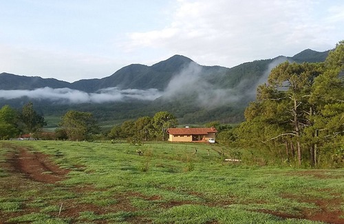 Mascota Cottage | Unique ecological home in the mountains overlooking a lake.