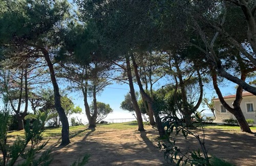 Agios Matthaios Villa | Unique view/Seaside/absolute privacy 2 bedrooms villa among the olive groves.
