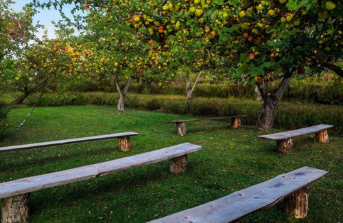 Haines Falls House | Unique wedding venue perched in the mountains with streams and an apple orchard
