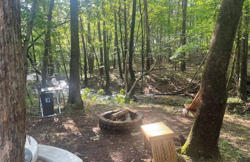 Star Tannery RV Rental | Unplug,Unwind, and Relax in Rustic Comfort—Mountain Air, Starry Nights