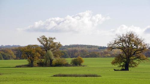 Muritz Apartment | Unterm Dach