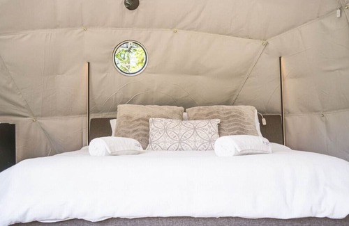 Lemon Tree House | Unwind Escapes Cabin and Glamping!