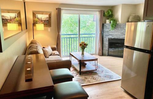 Historic District House | Updated Downtown Condo Walk Everywhere and Parking
