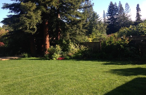 Portola Valley House | Upscale Home in Nature of Portola Valley near Stanford/280-4BD/2BA/Pool/Hottub