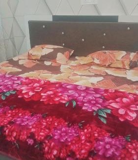 Phagwara Hotel | Urban Homes