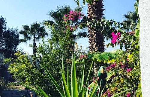 Karaoz Hotel | Urla Bella