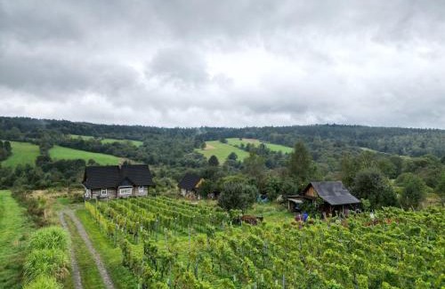 Nowica House | Utopia Dom przy winnicy