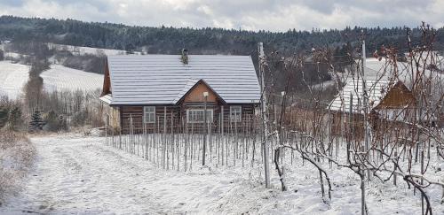 Nowica House | Utopia Dom przy winnicy