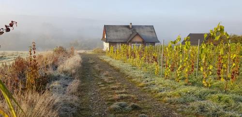 Nowica House | Utopia Dom przy winnicy