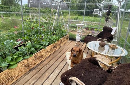 Helsinge House | Værelser i historisk hus med sjæl og atmosfære