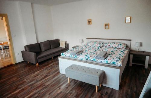Zizice Apartment | Vítovský statek