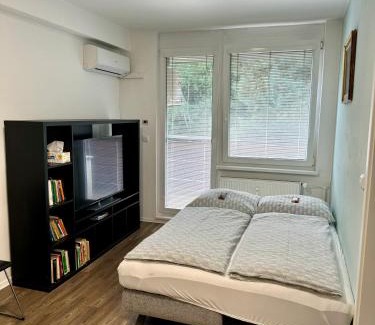 Vsemina Apartment | Všemina apartmán 31