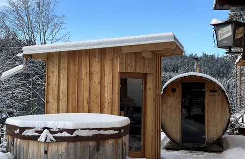 Wernesgrun House | Vacation home Wernesgrün in the Vogtland on the edge of the forest, modern furnishings with sauna