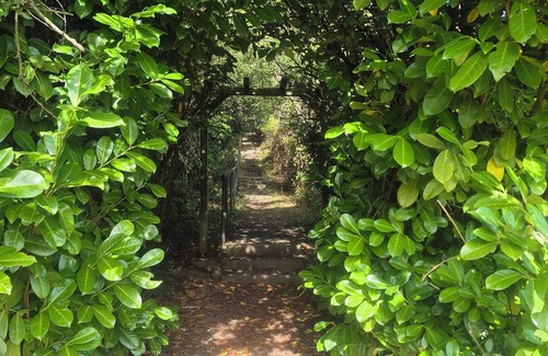 Odernheim am Glan Apartment | Vacation apartment π‘ Julianna π Time out in the beautiful wine village of Odernheim am Glan