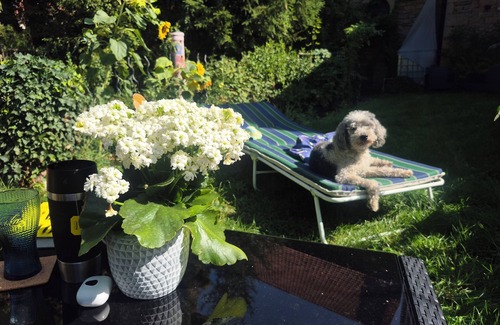 Odernheim am Glan Apartment | Vacation apartment π‘ Julianna π Time out in the beautiful wine village of Odernheim am Glan