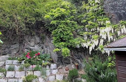 Wellmich Apartment | Vacation apartment/apartment for 4 guests with 53m² in Sankt Goarshausen (169947)